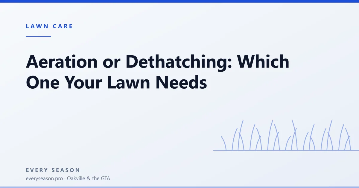 Editorial banner reading Aeration or Dethatching over a light green lawn motif