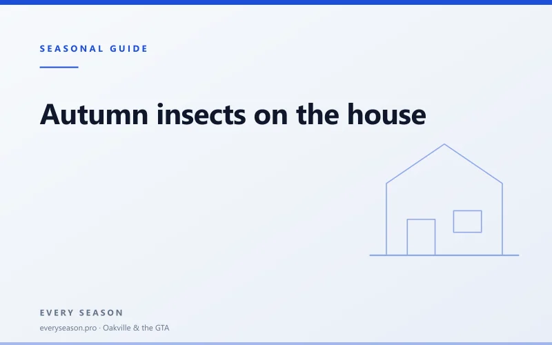 Light editorial banner reading Autumn insects on the house, with a house motif