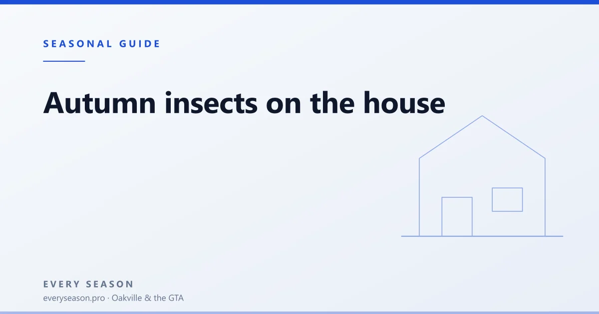 Light editorial banner reading Autumn insects on the house, with a house motif
