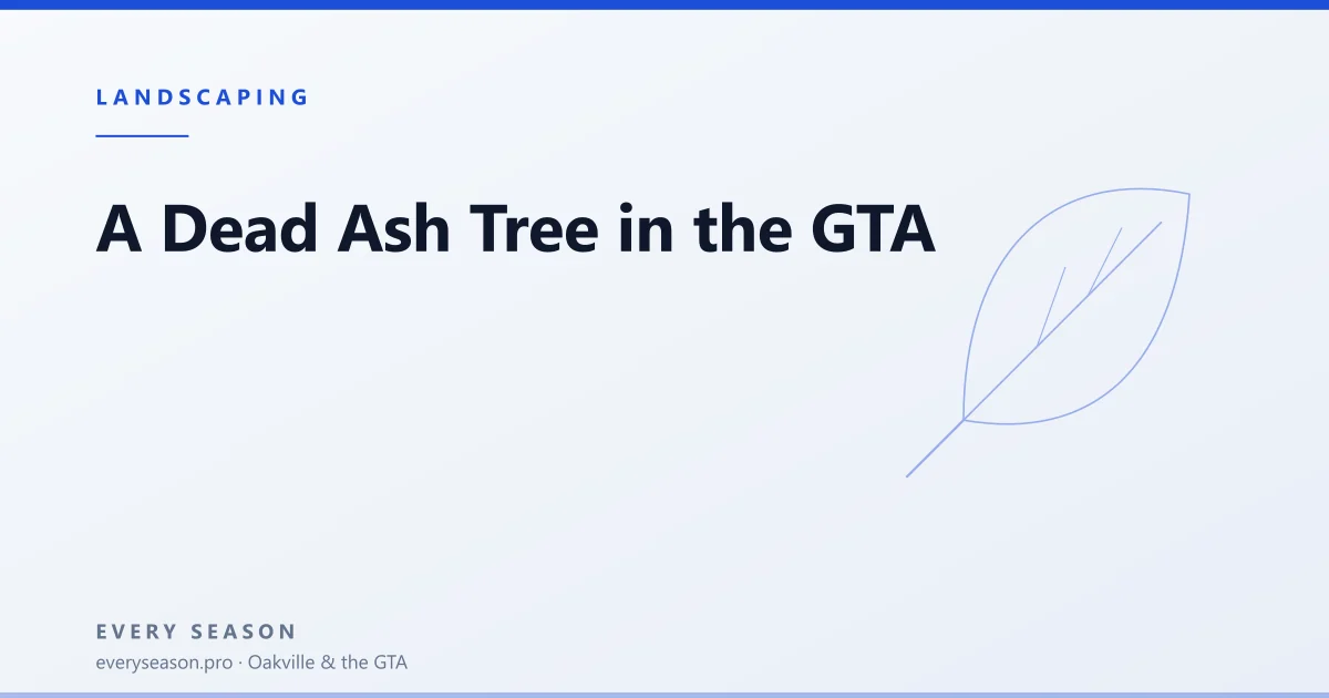 Light editorial banner reading Dead Ash Tree over a leaf motif, with the kicker LANDSCAPING