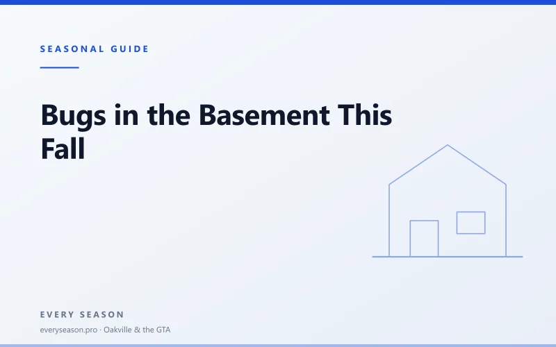 Light editorial banner reading Bugs in the basement this fall, with a house motif