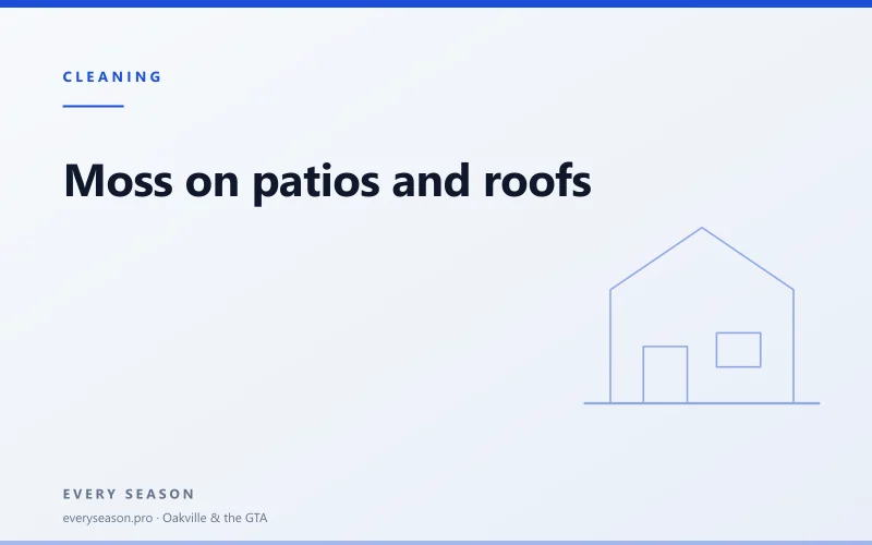 Light editorial banner reading Moss on patios and roofs, with a house motif