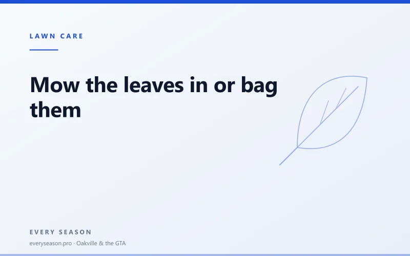 Light editorial banner with a fallen leaf illustration and the title Mow the leaves in or bag them