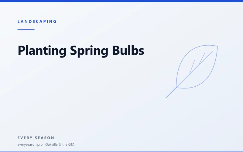 Light editorial banner reading Planting spring bulbs, with a leaf motif