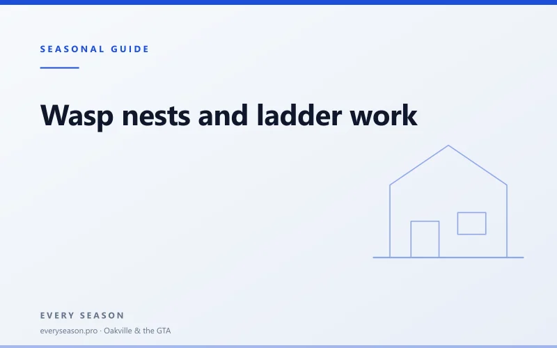 Editorial banner headed SEASONAL GUIDE, reading 'Wasp nests and ladder work', with a line-drawn house on a pale blue background